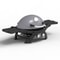 Pit Boss Sportsman 2 Grey Gas BBQ 2