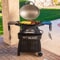 Pit Boss Sportsman 2 Portable Gas BBQ Including Cart 8