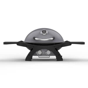 Pit Boss Sportsman 2 Grey Gas BBQ