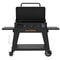 Pit Boss Onyx Plancha 3 Burner with Cart 2