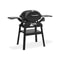 Weber Q2200N with Side Tables and Compact Stand Gas BBQ - NEW FOR 2025 2
