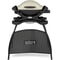 Weber Q1000 Portable Gas BBQ with Stand in Titanium 1