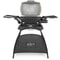 Weber Q 2000 Titanium with Stand Gas BBQ 53060374 2