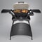 Weber Q 2000 Titanium with Stand Gas BBQ 53060374 5