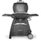 Weber Q 3200 Black Gas BBQ 6