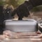 Weber Griddle Basting Dome 5