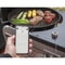Weber iGrill Mini 3