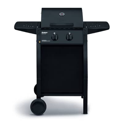 Enders San Diego 2 Gas BBQ