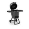 Broil King Kamado Keg 5000 Charcoal BBQ 2