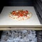Bertha Pizza Stone - Bertha Original And Table Top Ovens 2