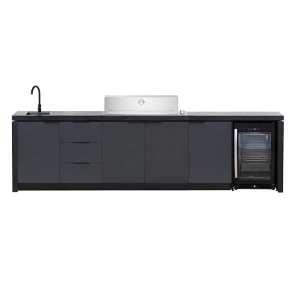 Cabinex Premium Outdoor Kitchen With ProLine Series 6 Burner BBQ Roaster Hood