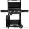 Napoleon Freestyle 24 Plancha Black Gas Griddle 4