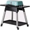 Everdure by Heston Blumenthal FORCE 2 Burner Gas BBQ Mint 6