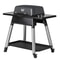 Everdure by Heston Blumenthal FORCE 2 Burner Gas BBQ with Stand - Graphite 5