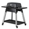 everdure FORCE 2 Burner Gas BBQ Graphite Gen 1 5