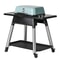Everdure by Heston Blumenthal FORCE 2 Burner Gas BBQ Mint 2