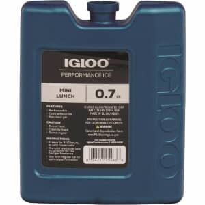 Igloo Performance Mini Lunch Ice Block