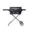 Masterbuilt Portable Charcoal BBQ and Smoker with Cart 1