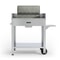 Fontana Tirreno Charcoal and Wood BBQ 2