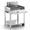 Fontana Tirreno Charcoal and Wood BBQ 1