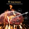 Typhur Sync Gold Lite Wireless Thermometer
with 1 Probe 7