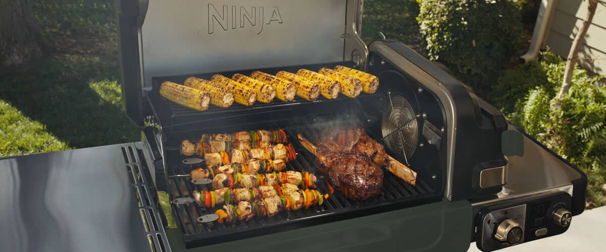 Ninja Barbecues
