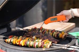 ETI THermapen