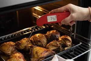 ETI THermapen