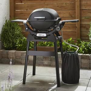 Weber Q BBQ