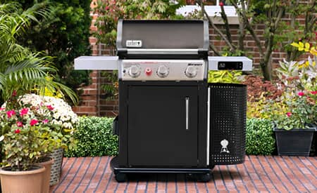 Weber Gas BBQ