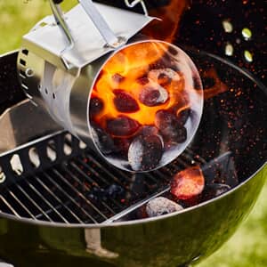 Weber Igniting and Fuel Accessories