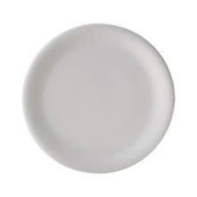 Denby China Dinner Plate
