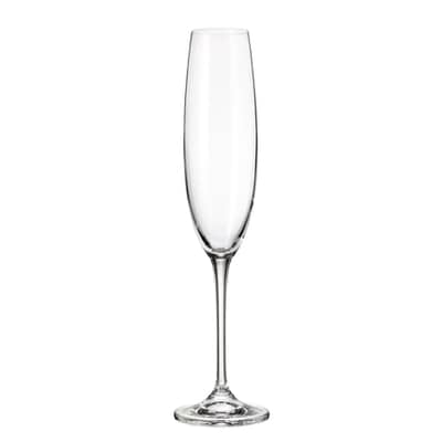 Bohemia Fulica Champagne Flute Set of 6