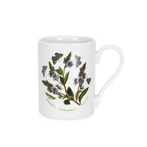 Portmeirion Botanic Garden - Coffee Mug Set Of 6