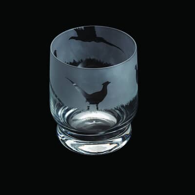 Dartington Aspect Pheasant Tumbler