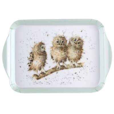 Wrendale The Twits Owl Scatter Tray