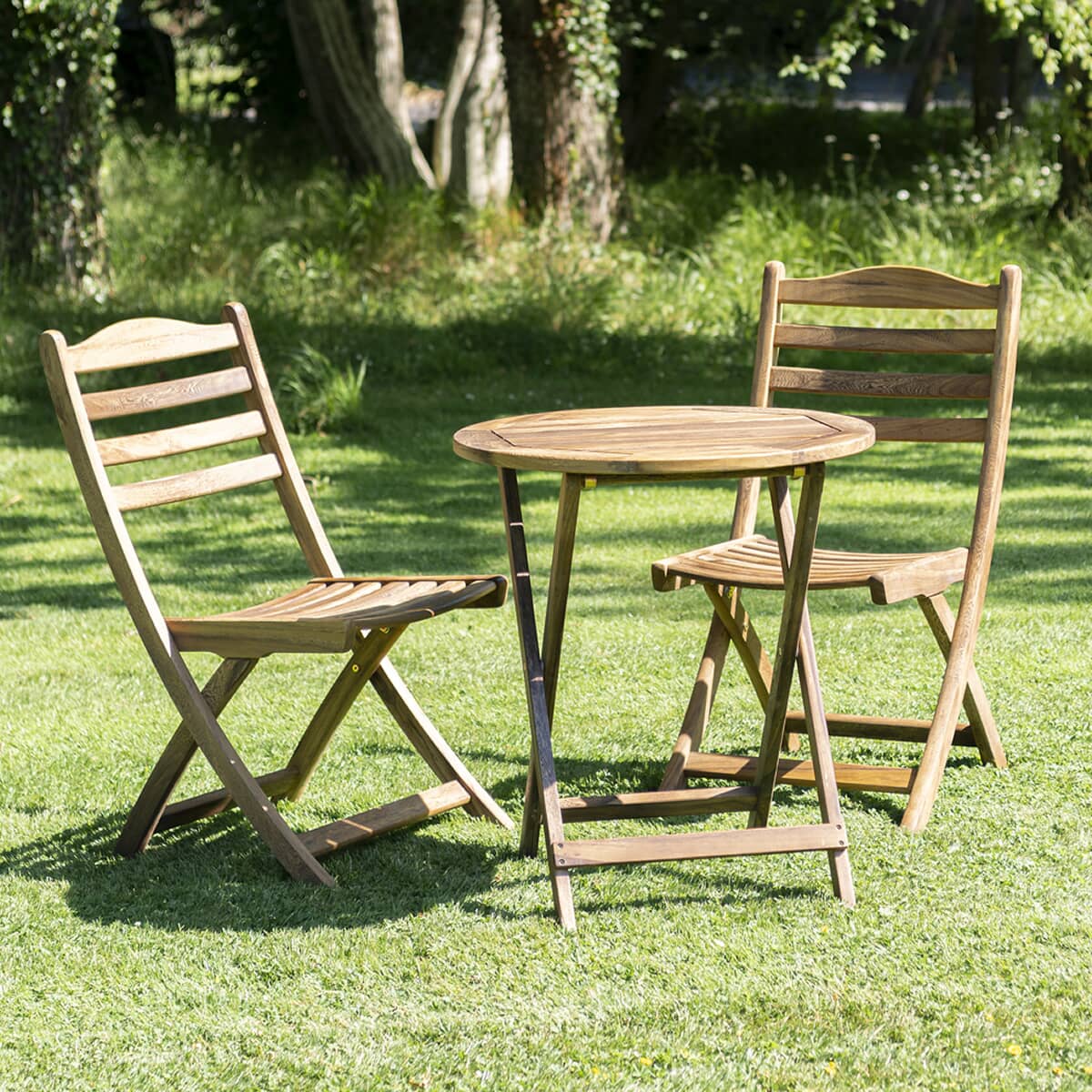 Alexander Rose Albany Folding Tea for Two Set