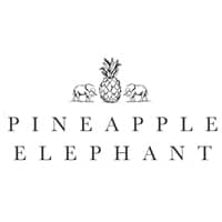 Pineapple Elephant