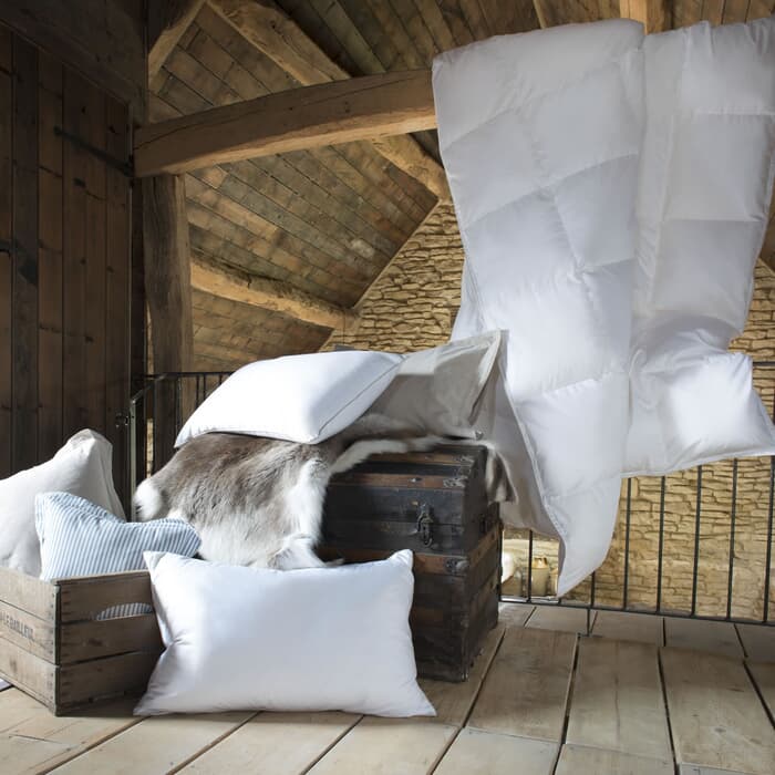 Gold Hungarian Goose Down JustLinen