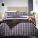 Valloire Brushed Cotton Damson
