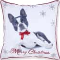 Merry Christmas Frenchie