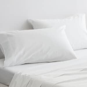 Organic Cotton Snow White 300 Thread Count