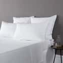 Highgate Flannelette White