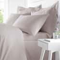 Egyptian Cotton Blush
