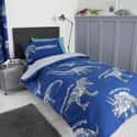 Dinobot Blue