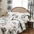 6426BS3