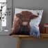 Catherine Lansfield Highland Cow Cushion Cover Multi small