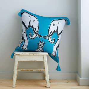 Tembo Tassel Cushion Teal