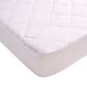 Anti Allergy Protectors