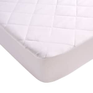 Anti Allergy Protectors